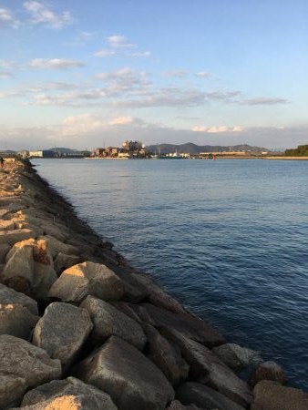 のんびりフィッシング