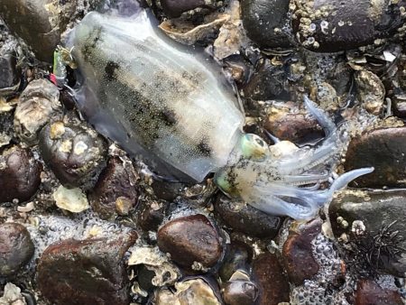 デイゲームで・・・