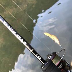 エリアトラウト