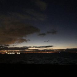 思ってたよりデカイ