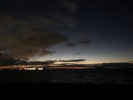 思ってたよりデカイ