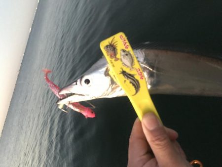 タチウオルアー釣り