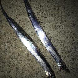 休日の激戦区へ