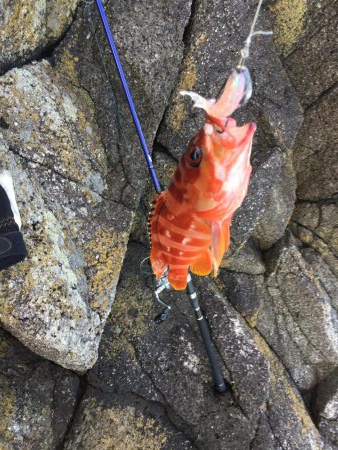 渡船でショアジギング