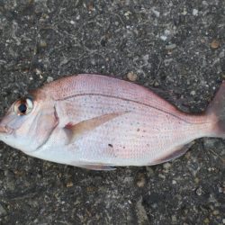 久しぶりの市役所裏