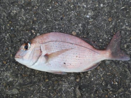 久しぶりの市役所裏