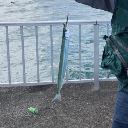 鯉川でぼちぼち