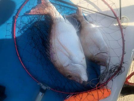 サップフィッシング