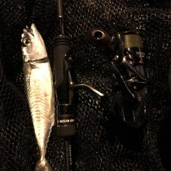 色々釣れる晩秋