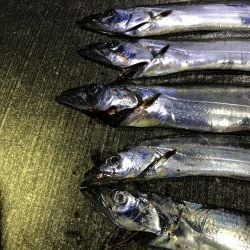 サイズがちょっと大きくなったかな