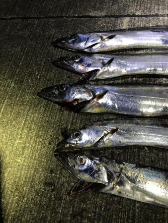 サイズがちょっと大きくなったかな