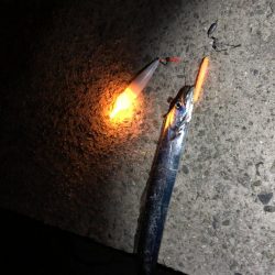 シーズン終盤突入