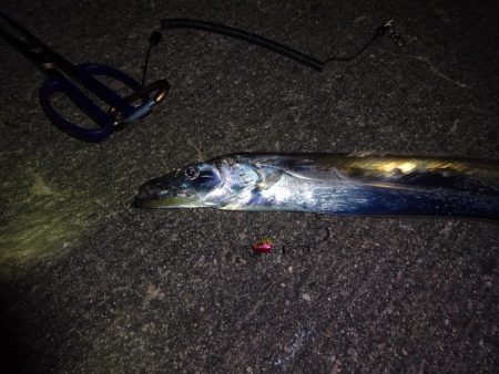 今週もドラゴン求めて