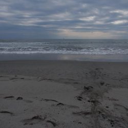 フラット日和二日目！