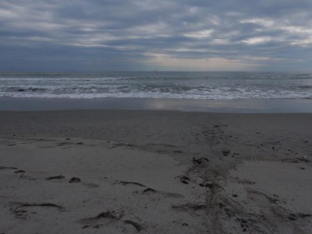 フラット日和二日目！