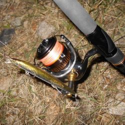 少ないライズの中でのヒット。