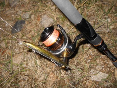 少ないライズの中でのヒット。