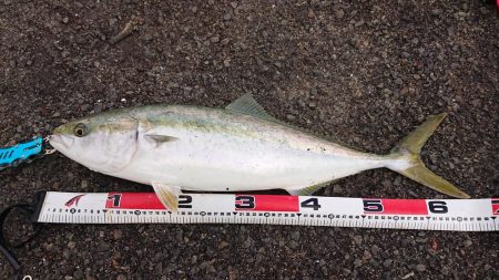 秋の最後に・・