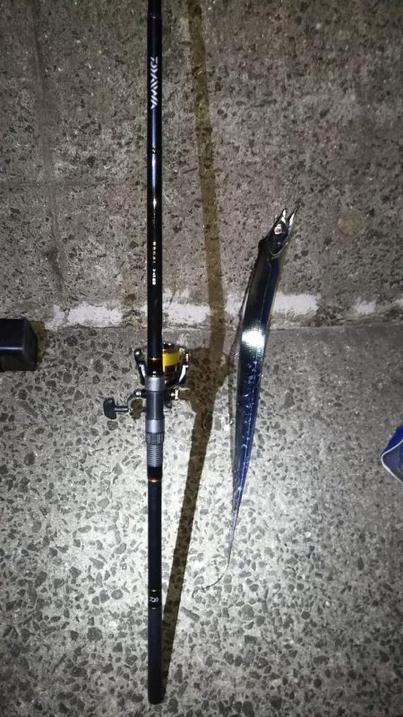 タチウオ&アジほか