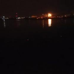 あんたも好きねぇ