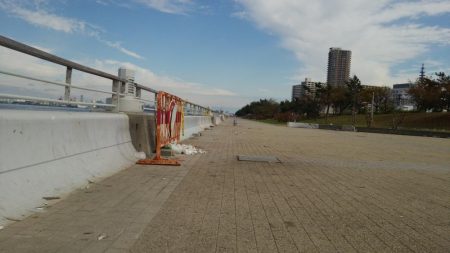 タチウオ 数少ない