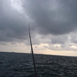 タチウオからの青物!!