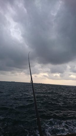 タチウオからの青物!!