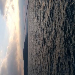 ルアーを忘れてサビキでアナハゼとスズメダイ