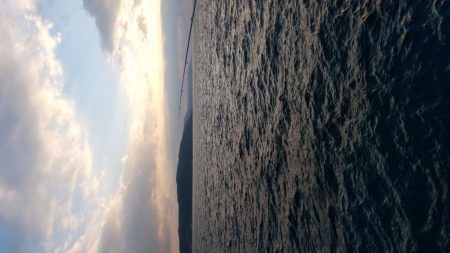 ルアーを忘れてサビキでアナハゼとスズメダイ