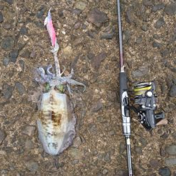 出張でアウェイの場所