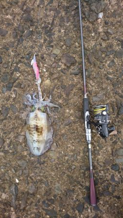 出張でアウェイの場所