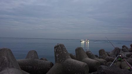 カレイ釣り、落ちギス釣り