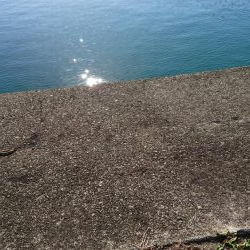 エギング～のエソニング