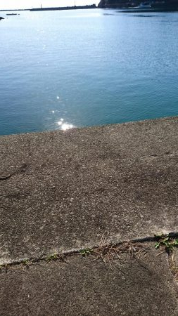 エギング～のエソニング