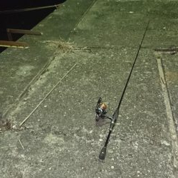 アジングのつもりが