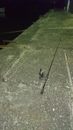 アジングのつもりが