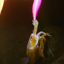 もう終わりかな…