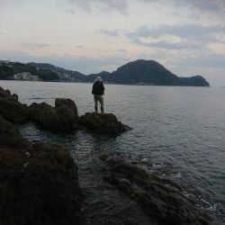 シーバース&ロックフィッシュ