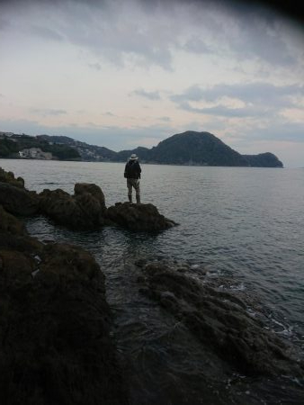 シーバース&ロックフィッシュ