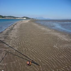 アジング  エギング  キス釣り メジナ釣り