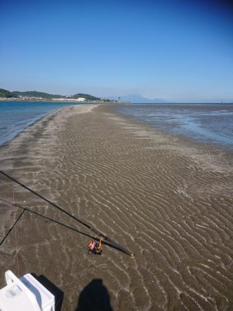 アジング  エギング  キス釣り メジナ釣り