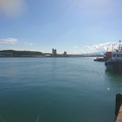 デイライトゲーム