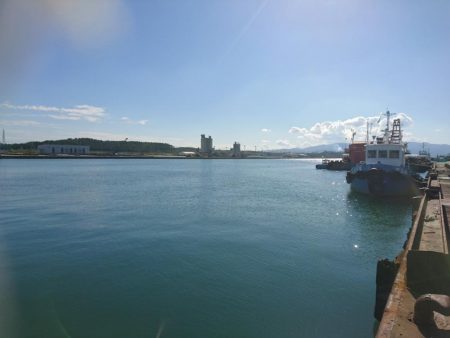 デイライトゲーム