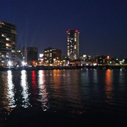 サビキでアジ釣り