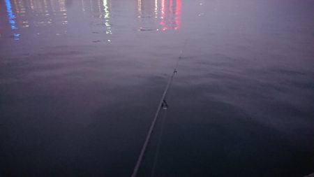 仕事帰り夕練シーバス調査！