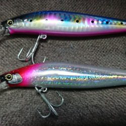 夕練、銀ピカシーバスゲット！