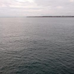 タチウオ プチ遠征でツ抜け