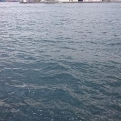 タチウオ南港マイポイント釣行