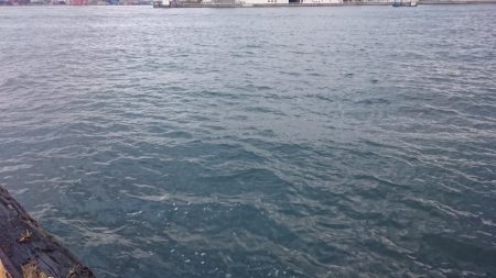 タチウオ南港マイポイント釣行