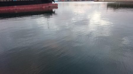 湾奥ポイント調査